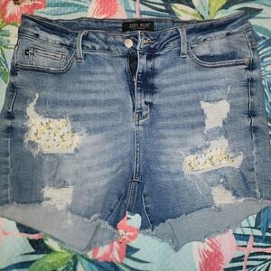Judy Blue Denim Shorts, Plus Size